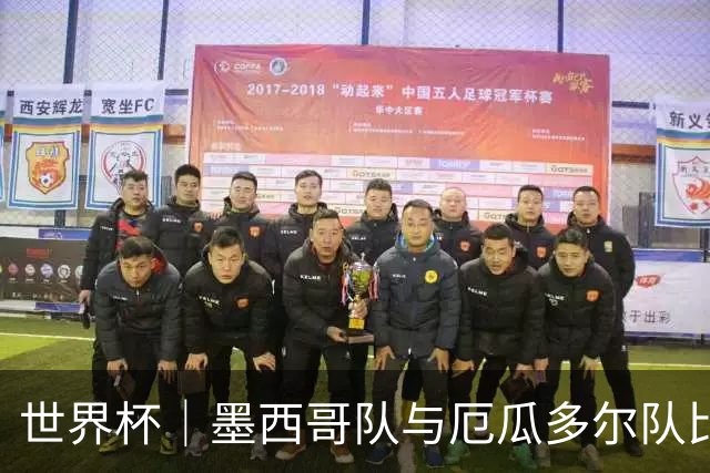 世界杯｜墨西哥队与厄瓜多尔队比赛因雷雨延迟